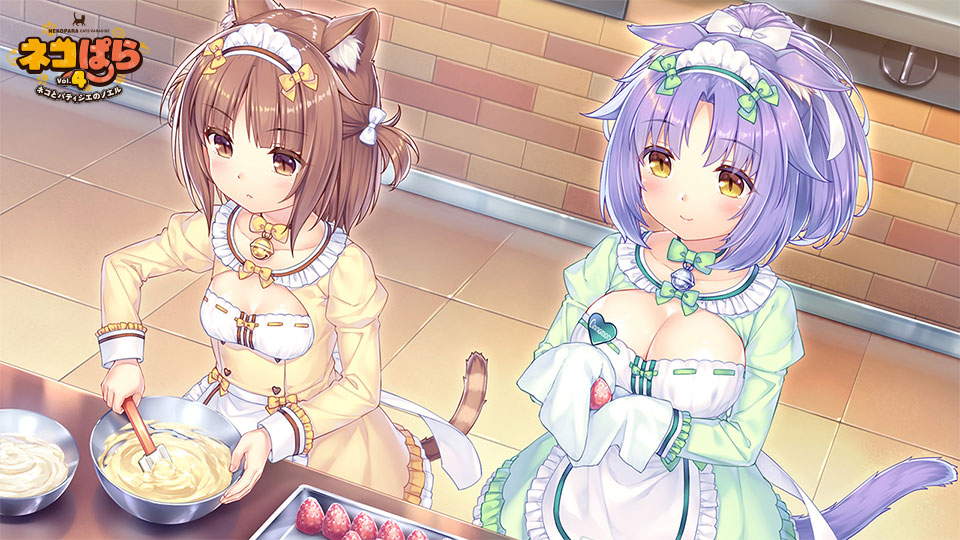 图片[3] - 【Gal】【PC/PE/汉化】NEKOPARA Vol. 4 / 巧克力与香子兰 Vol. 4 猫与西点师的圣诞节 / ネコぱらvol.4～ネコとパティシエのノエル～ - Hikarinagi